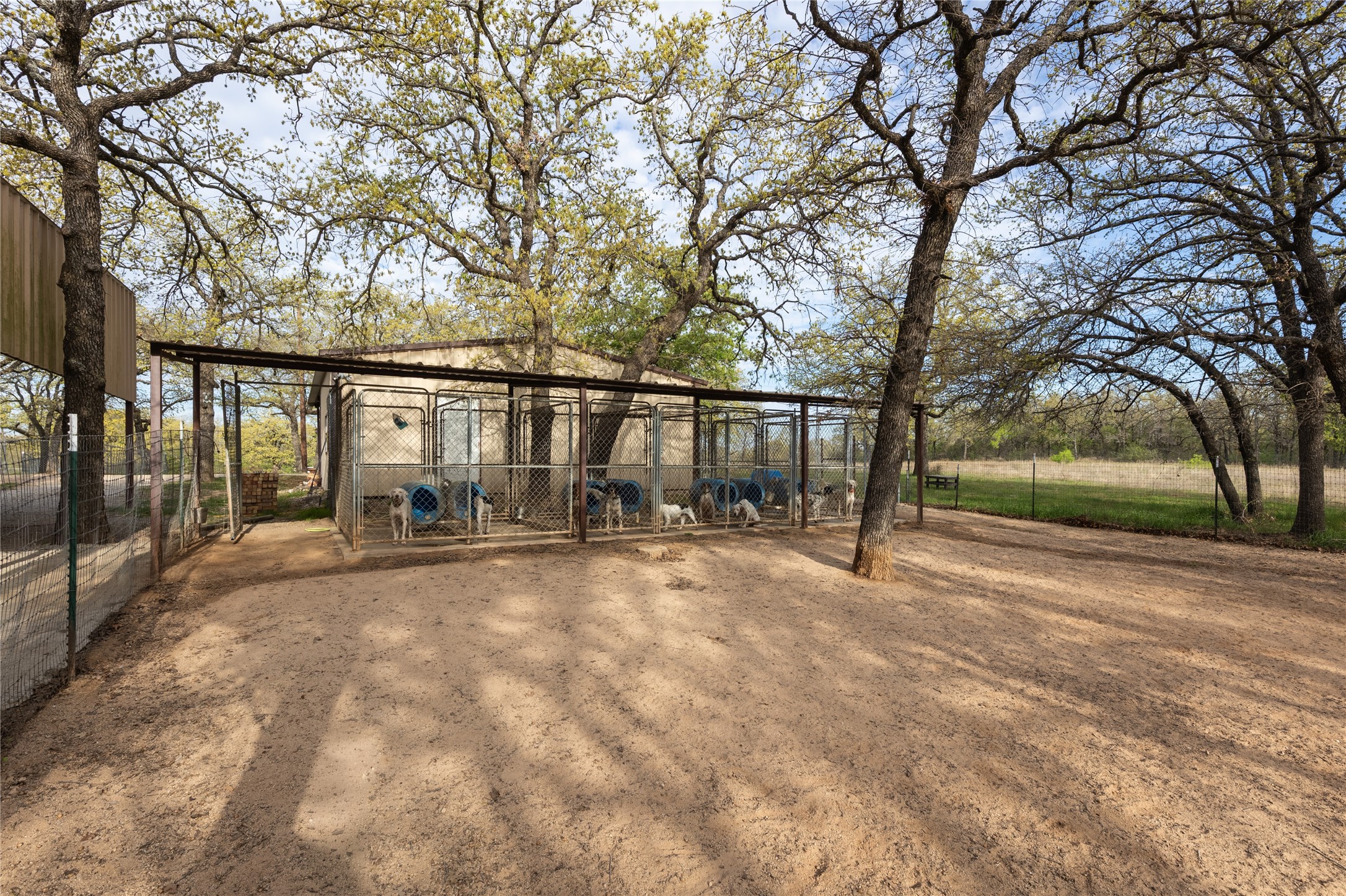243 County Road 3851 Poolville TX 76487