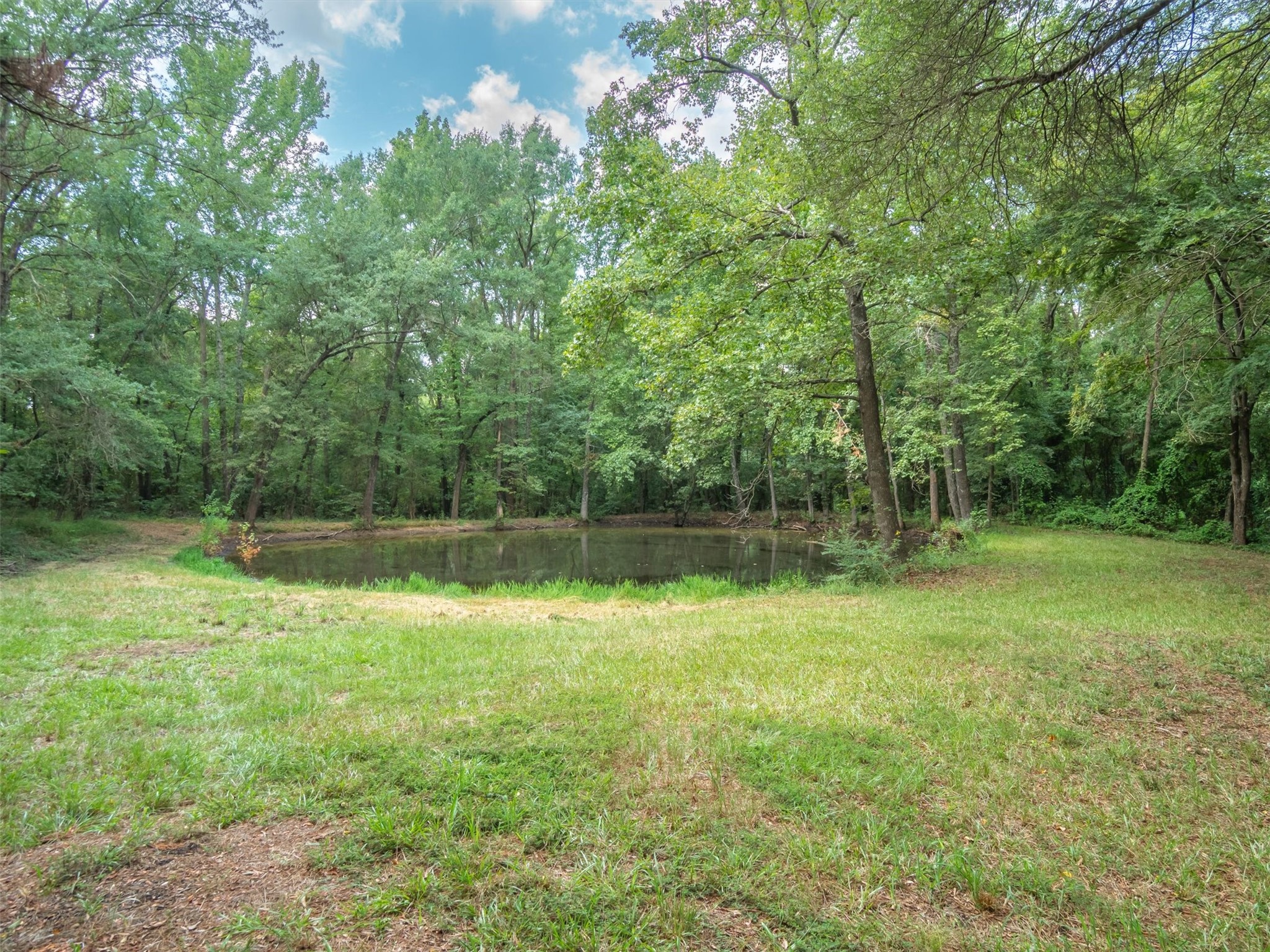 147 County Road 4230 Winnsboro TX 75494