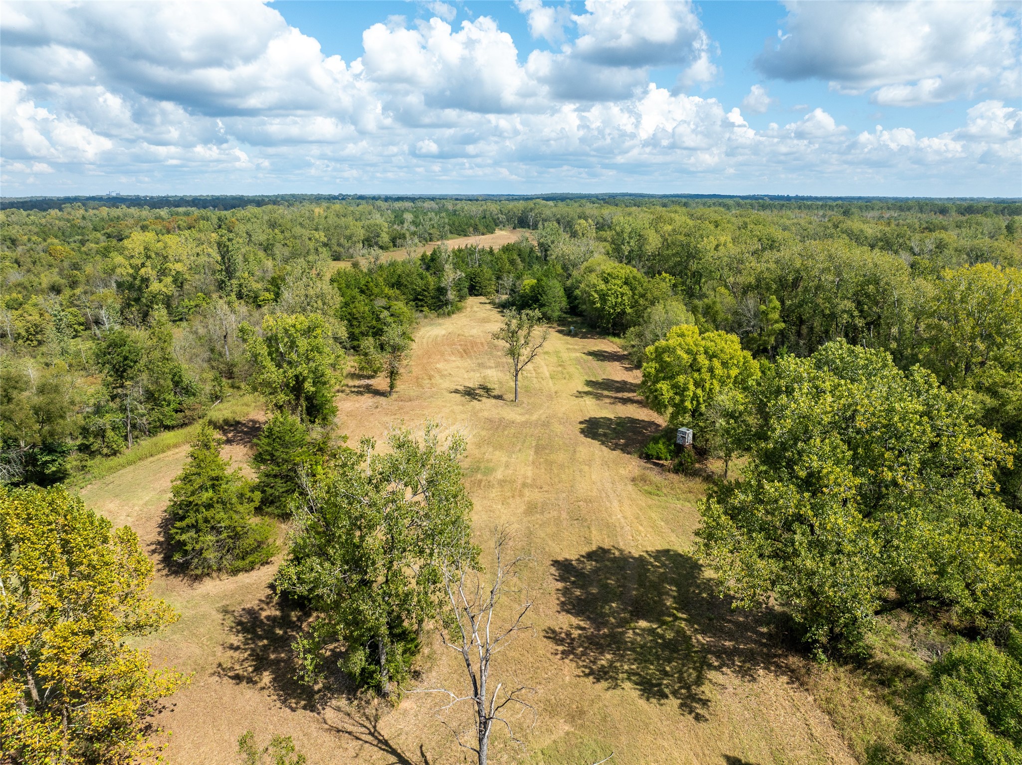 00 Fm 410 Bagwell TX 75412