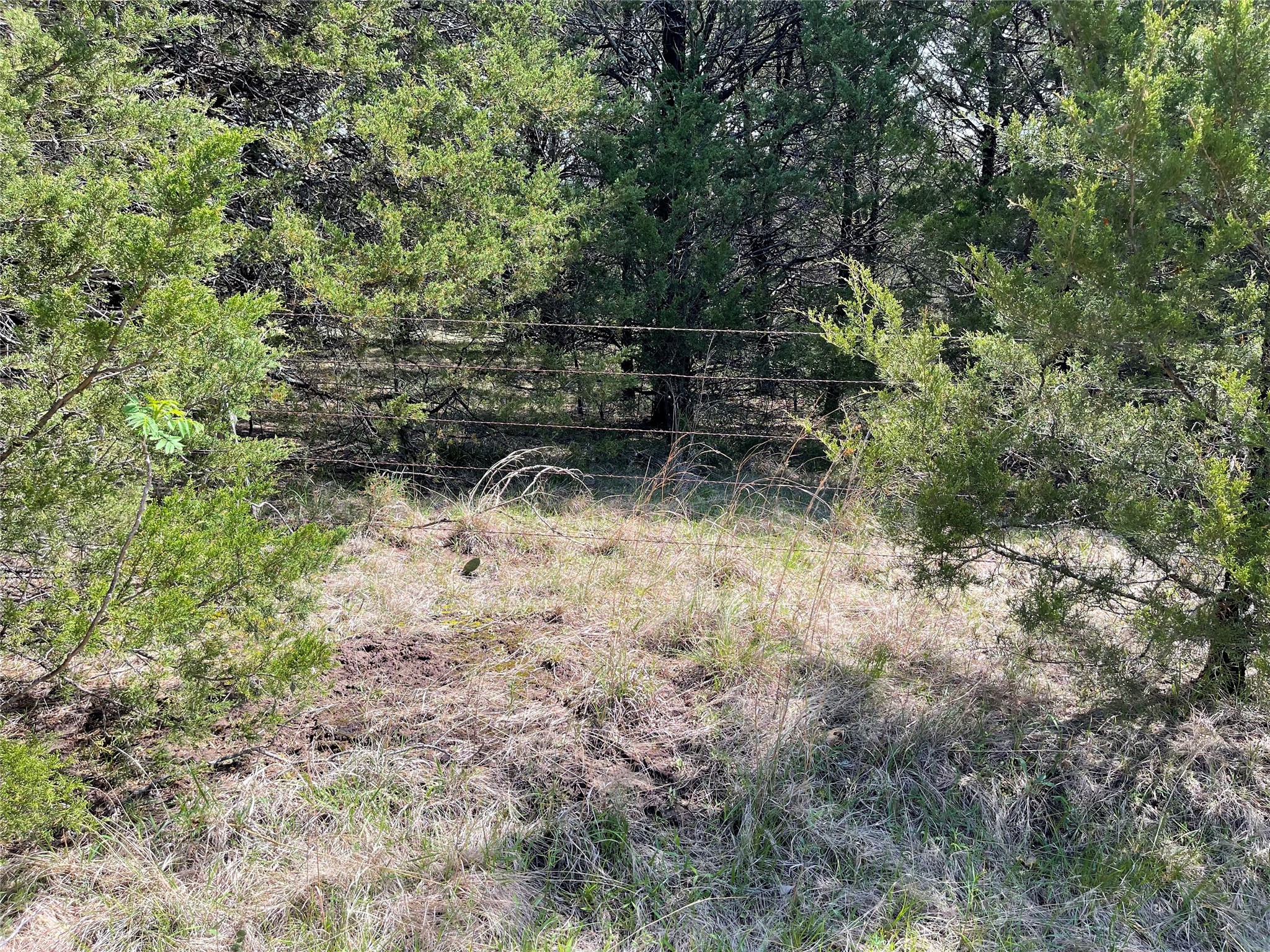 2110 County Road 1220 Savoy TX 75479