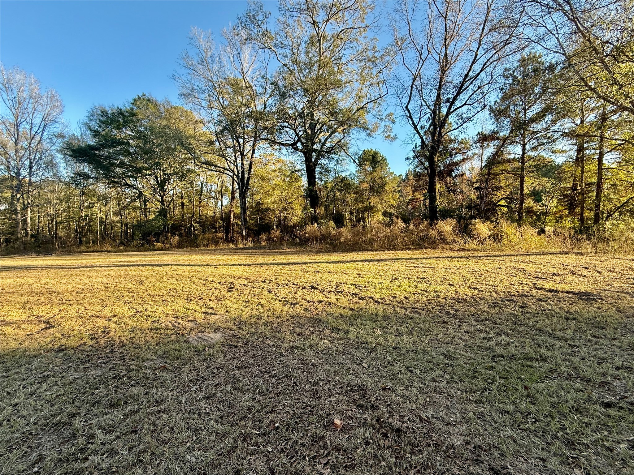 159 Yellow Pine Road Sibley LA 71073