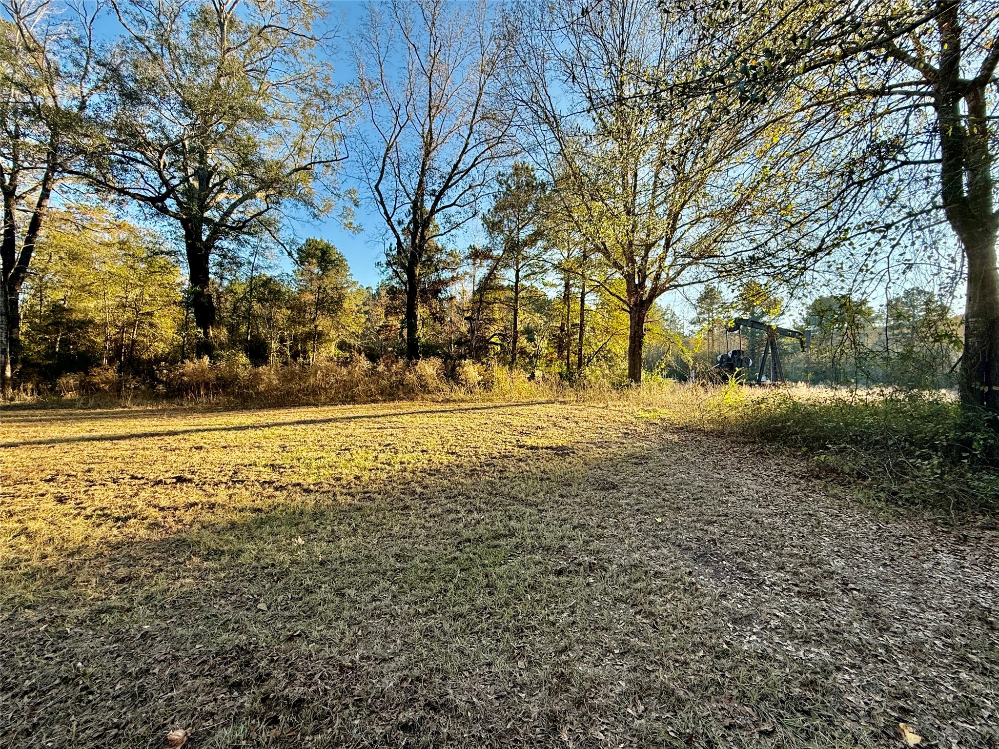 159 Yellow Pine Road Sibley LA 71073
