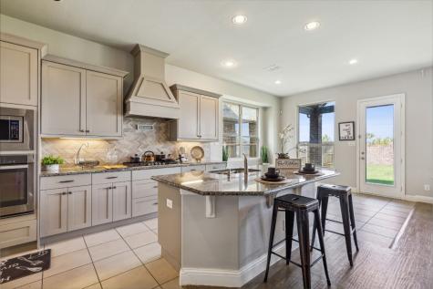 1320 Torrent Drive Little Elm TX 75068
