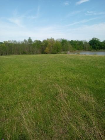 1008 County Road 4133 Cumby TX 75433