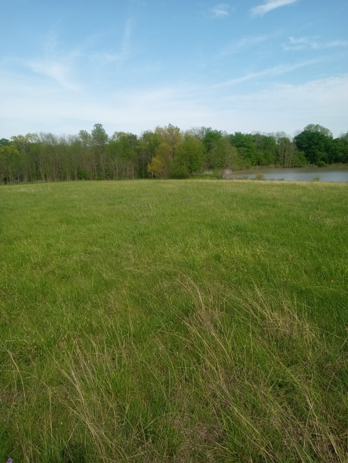 1008 County Road 4133 Cumby TX 75433
