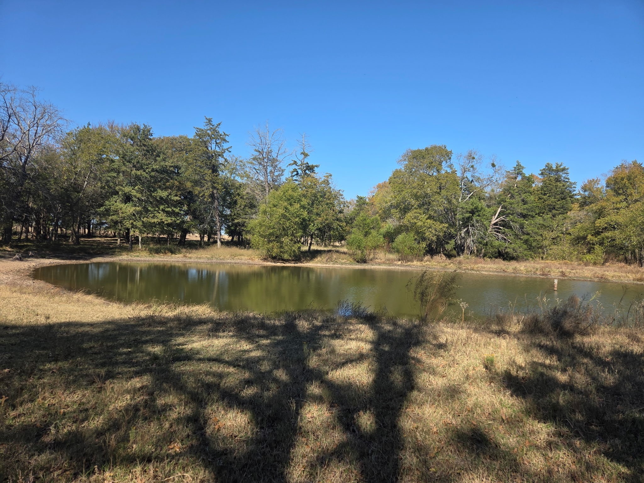 1008 County Road 4133 Cumby TX 75433