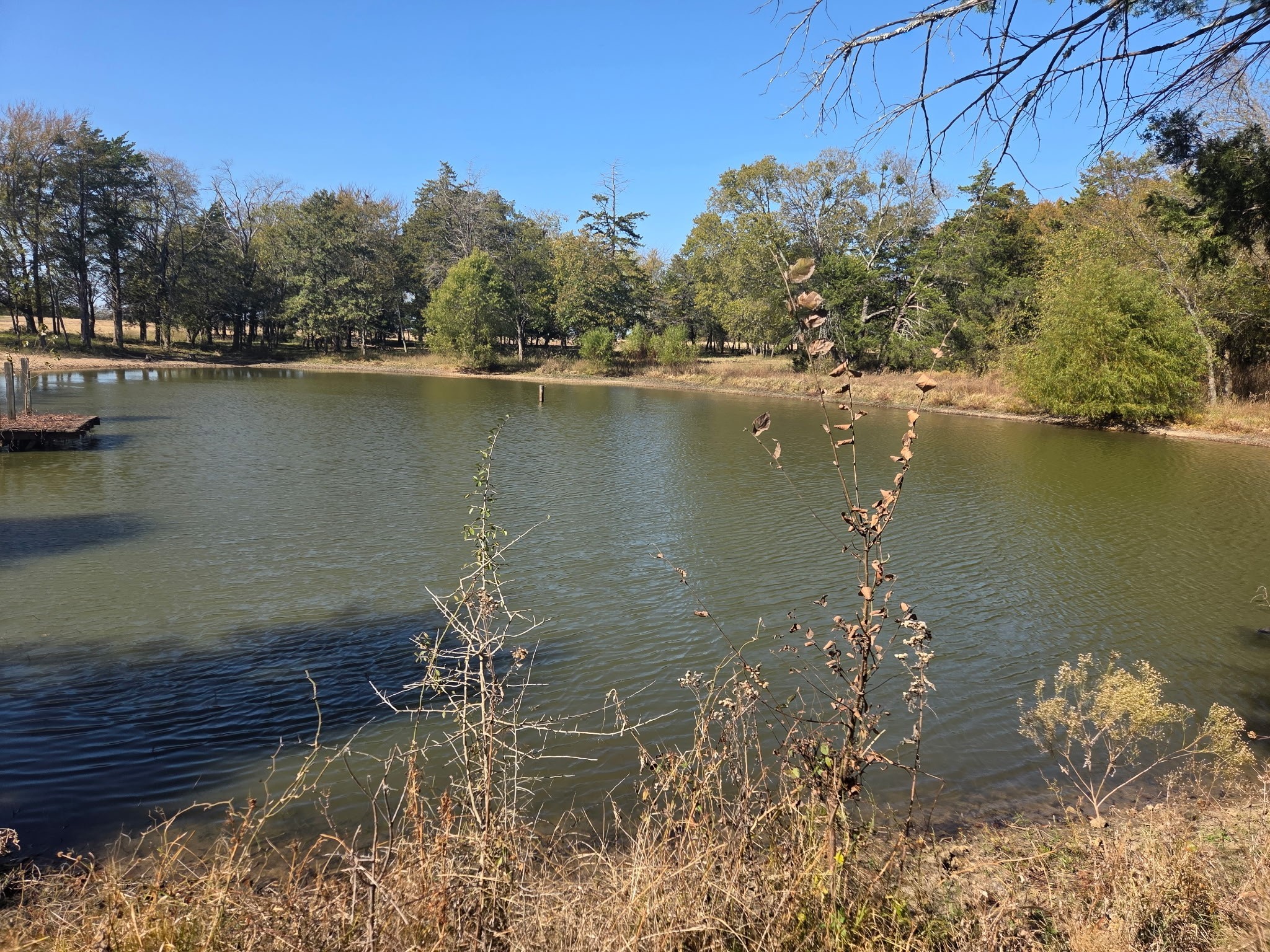 1008 County Road 4133 Cumby TX 75433
