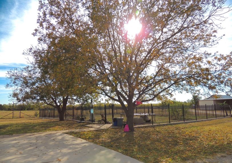150 Cr 676 Tuscola TX 79562