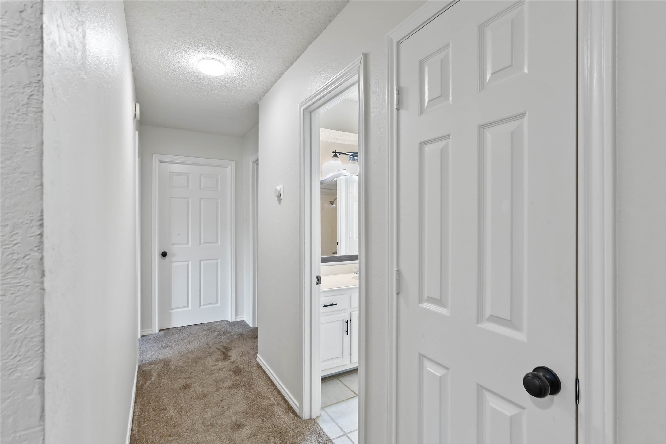 3440 Salmon Street Sachse TX 75048