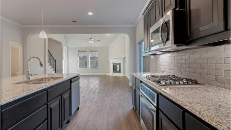 15137 Ram Rock Drive Fort Worth TX 76008