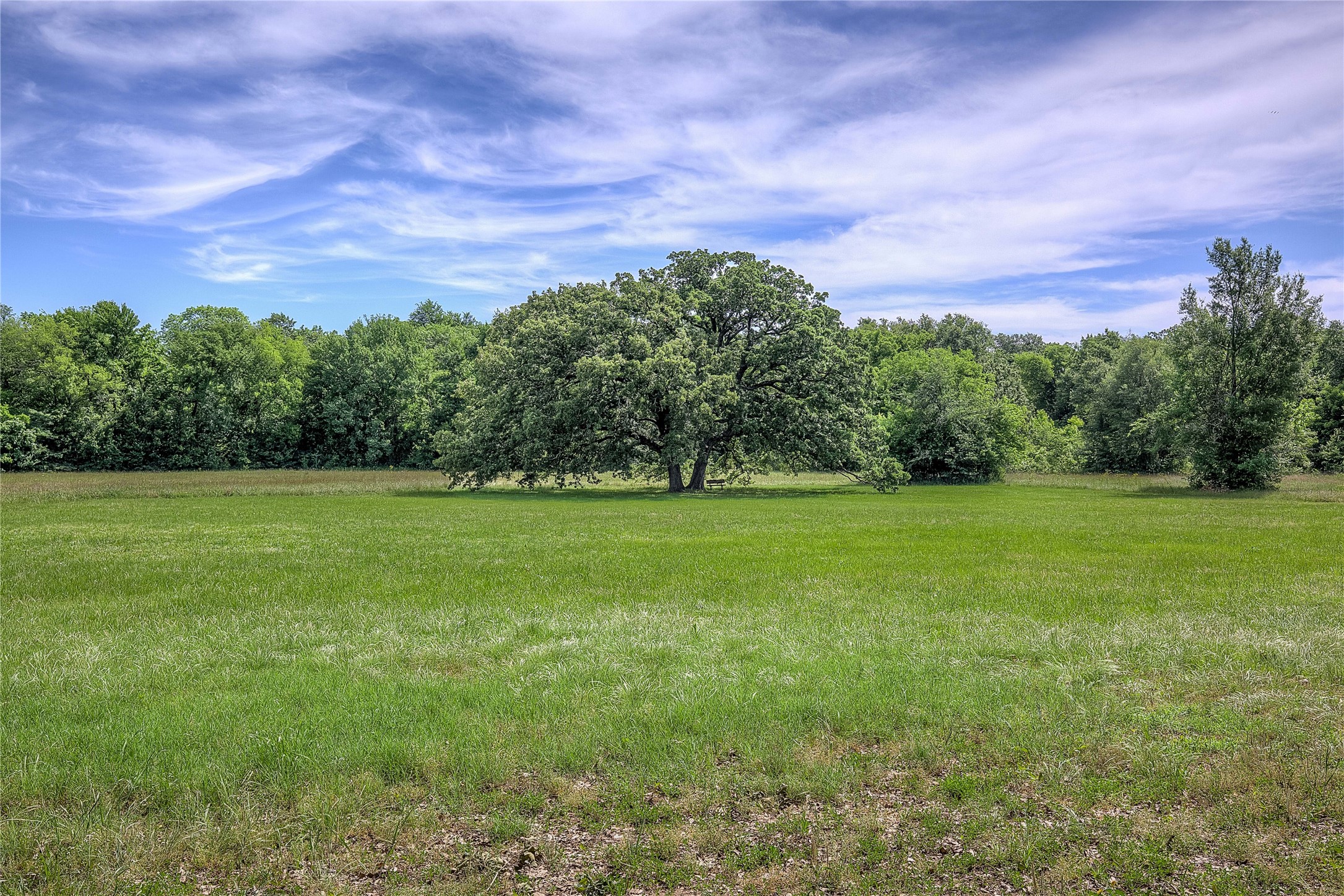 3780 Texas Highway 11 W Sulphur Springs TX 75482