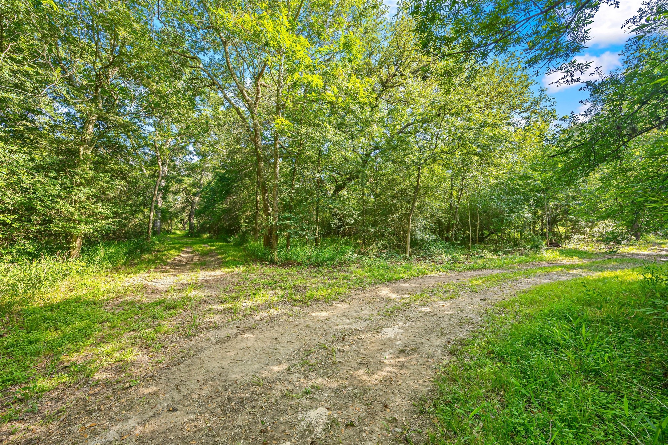 5523 Ehrman Lake Lane Wallis TX 77485