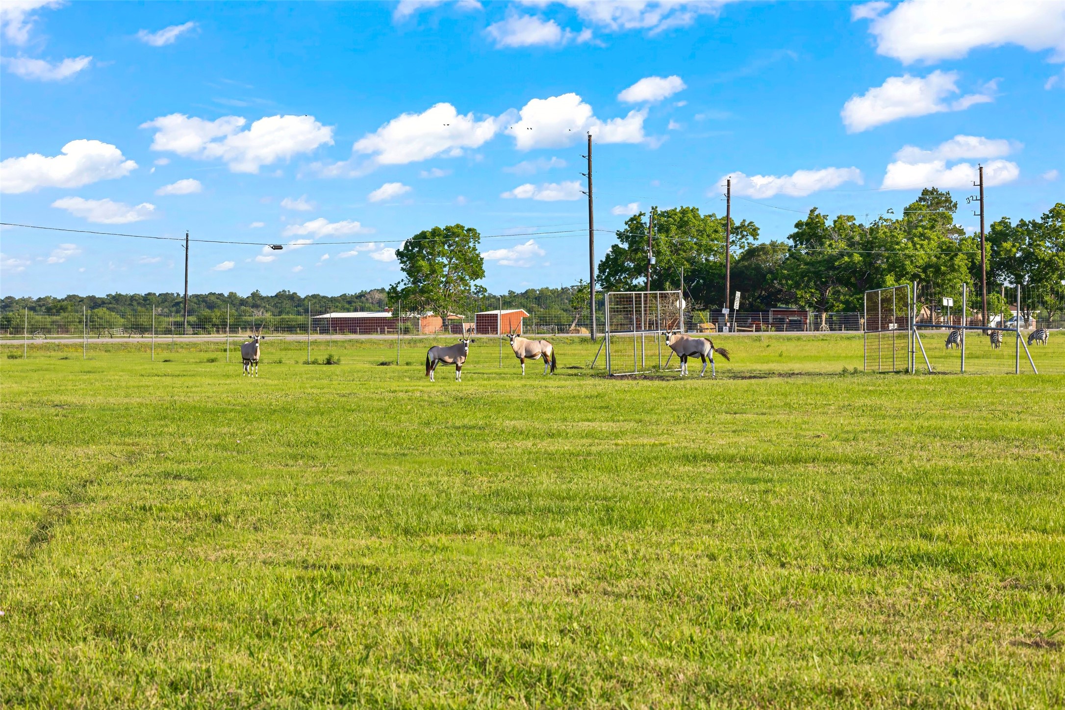 5523 Ehrman Lake Lane Wallis TX 77485
