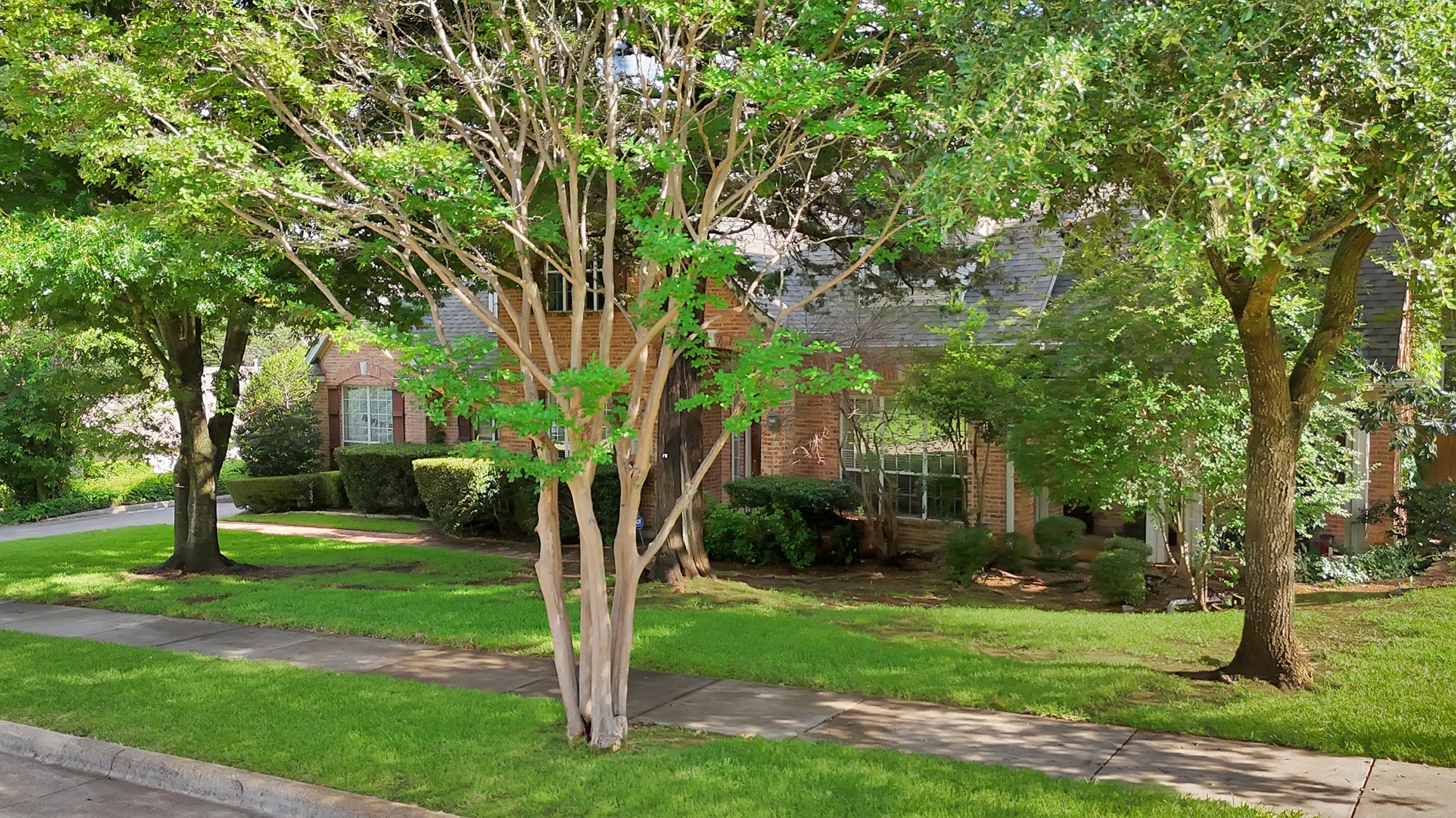 1912 Timber Ridge Court Cedar Hill TX 75104