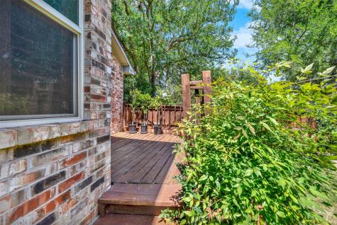 100 Saint Emelion Court Irving TX 75038