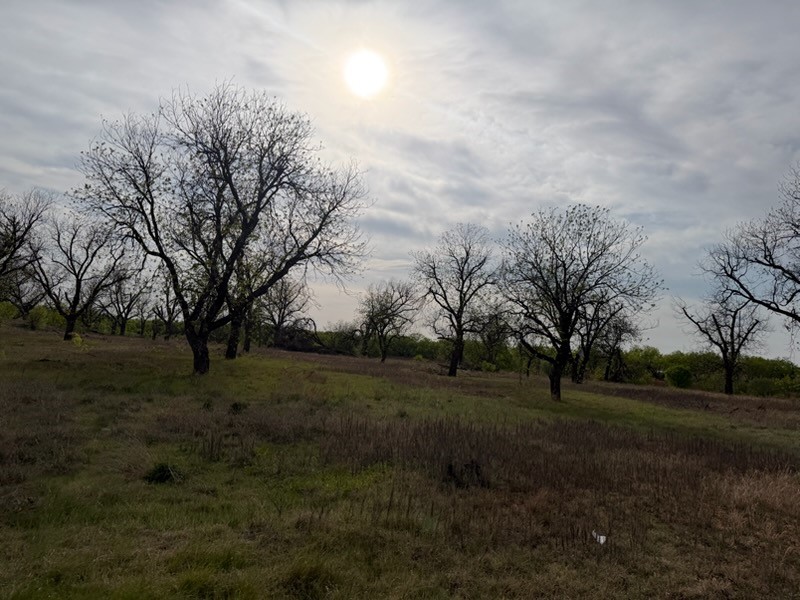 4050 Old Anson Road Abilene TX 79601