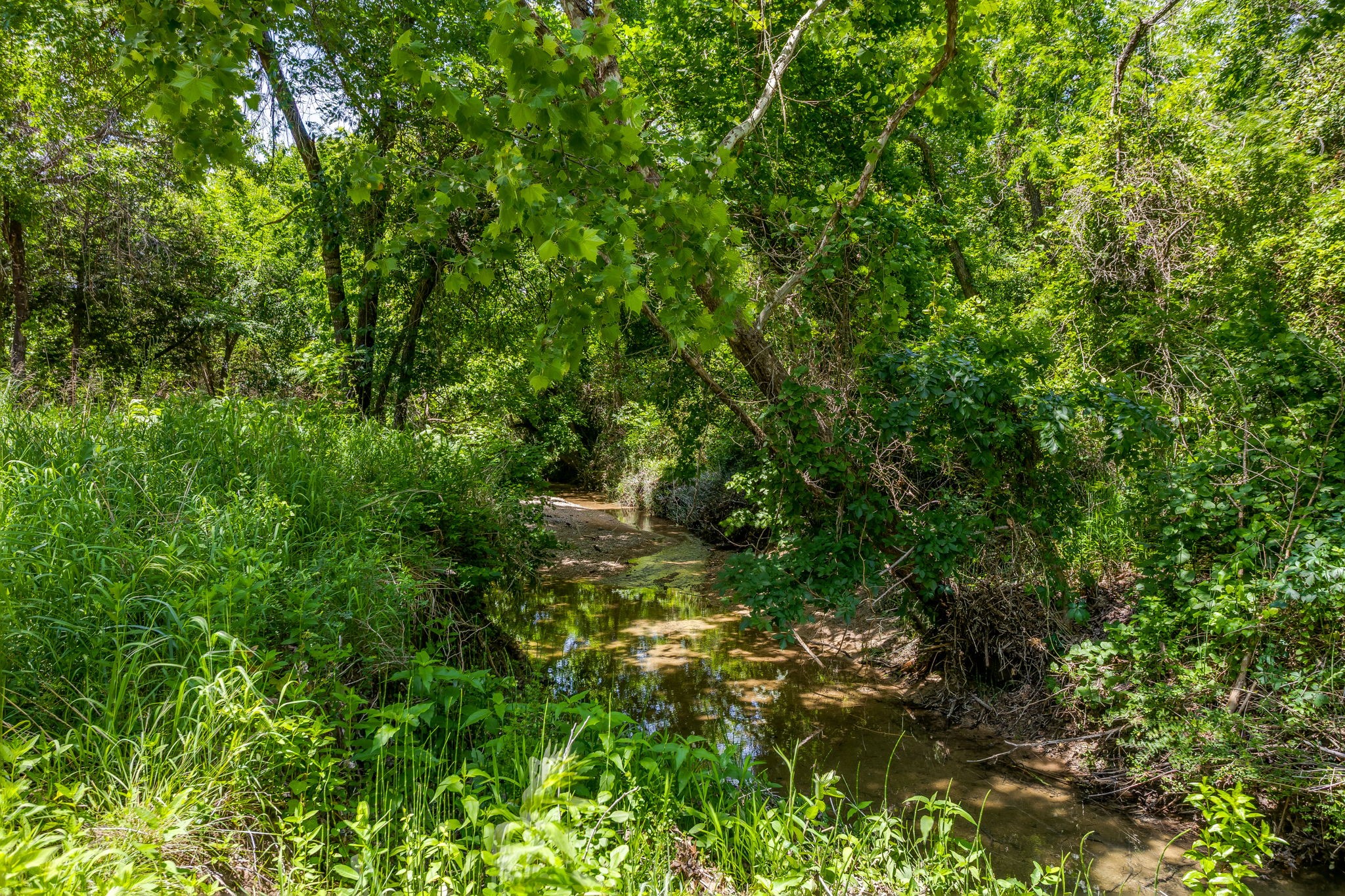 6345 Silver Creek Azle Road Azle TX 76020