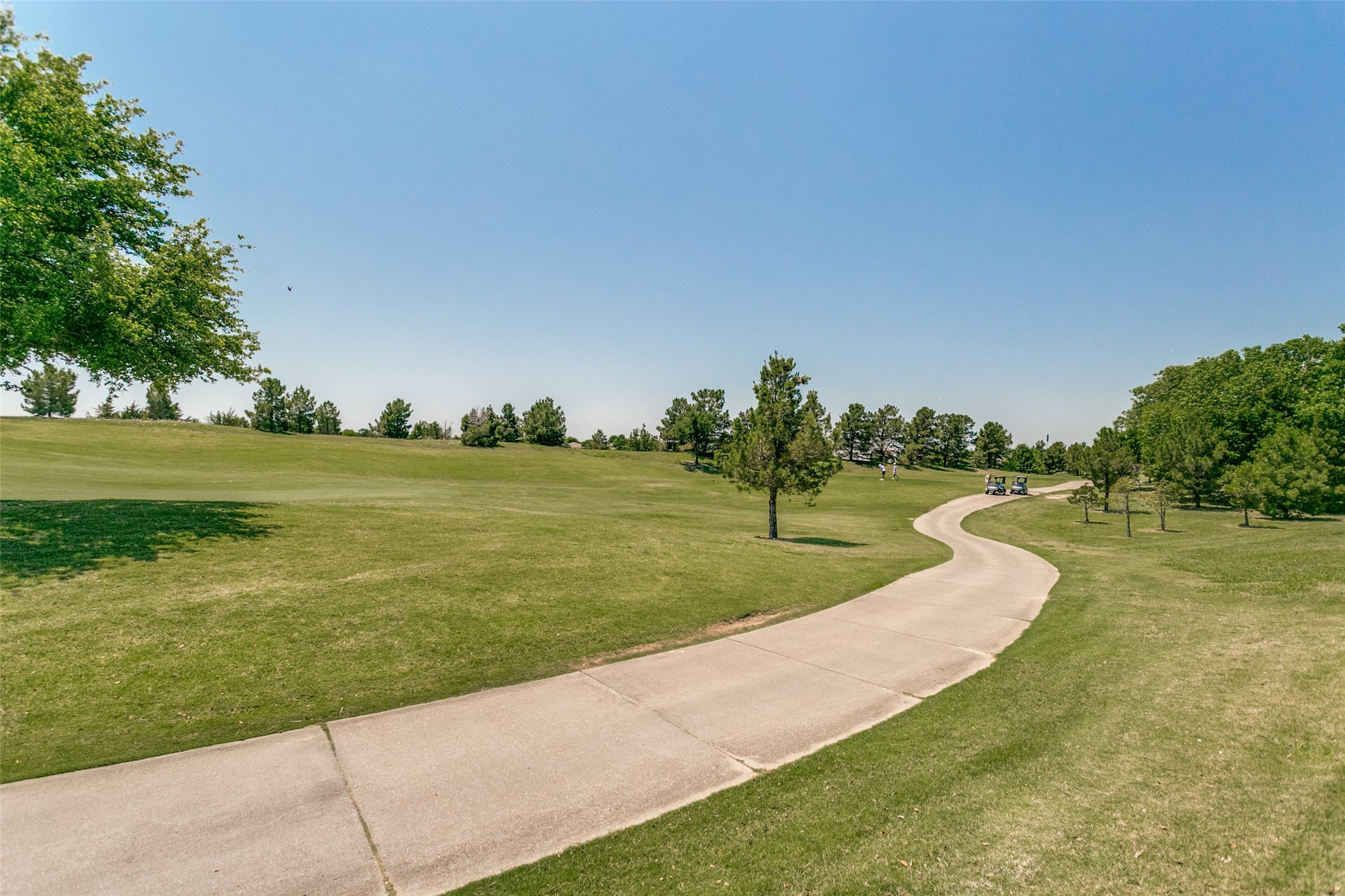 1643 Birmingham Forest Drive Frisco TX 75036