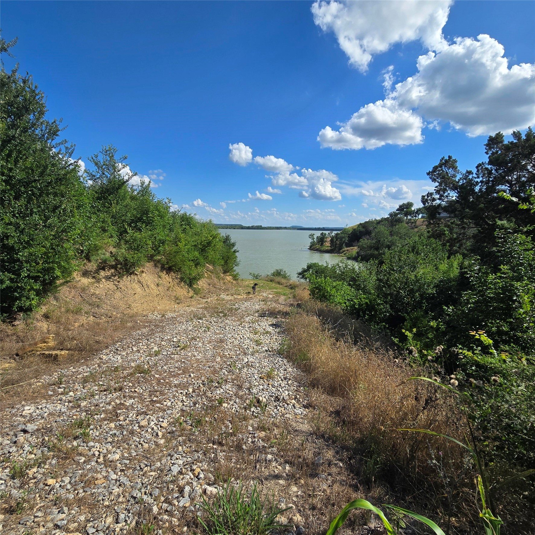 1142 Dunn Drive Palo Pinto TX 76484