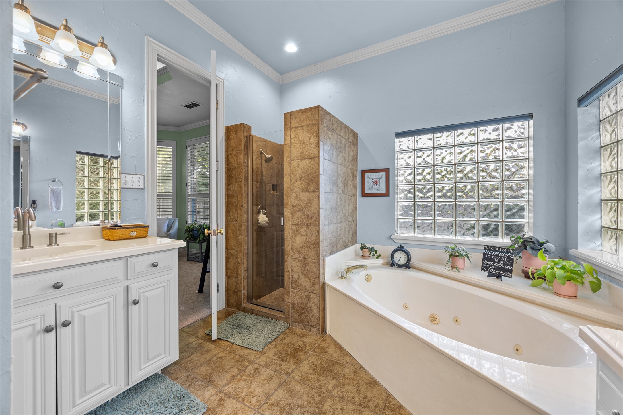 3 Katie Court Mansfield TX 76063