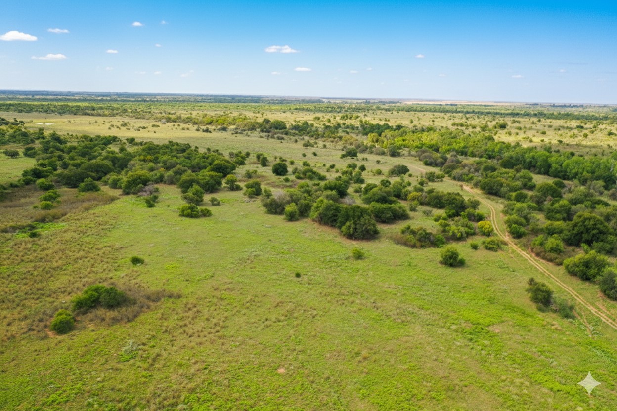 10157 N Cr 129 Harrold TX 76364