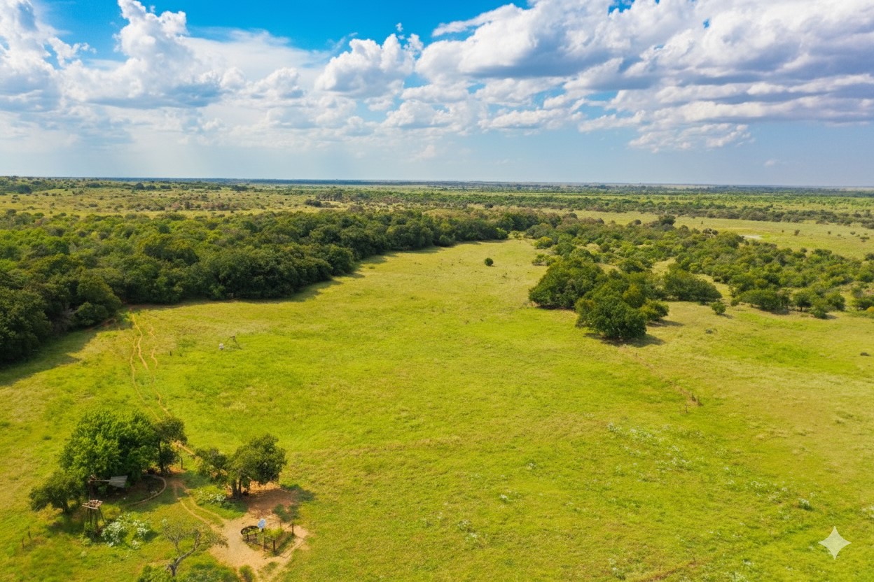 10157 N Cr 129 Harrold TX 76364