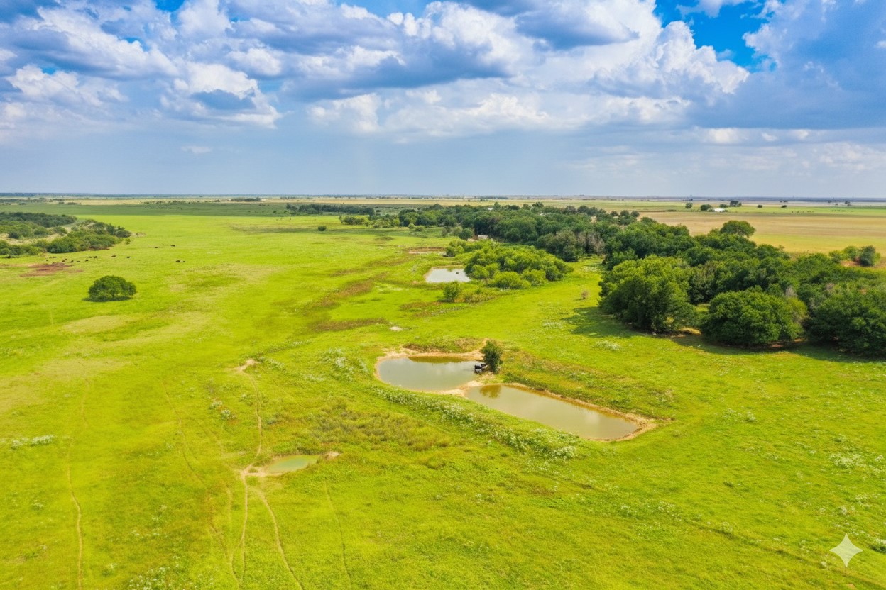 10157 N Cr 129 Harrold TX 76364
