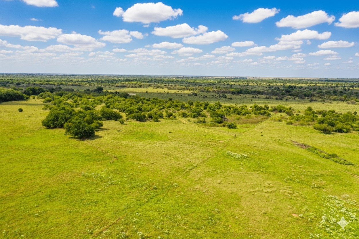 10157 N Cr 129 Harrold TX 76364
