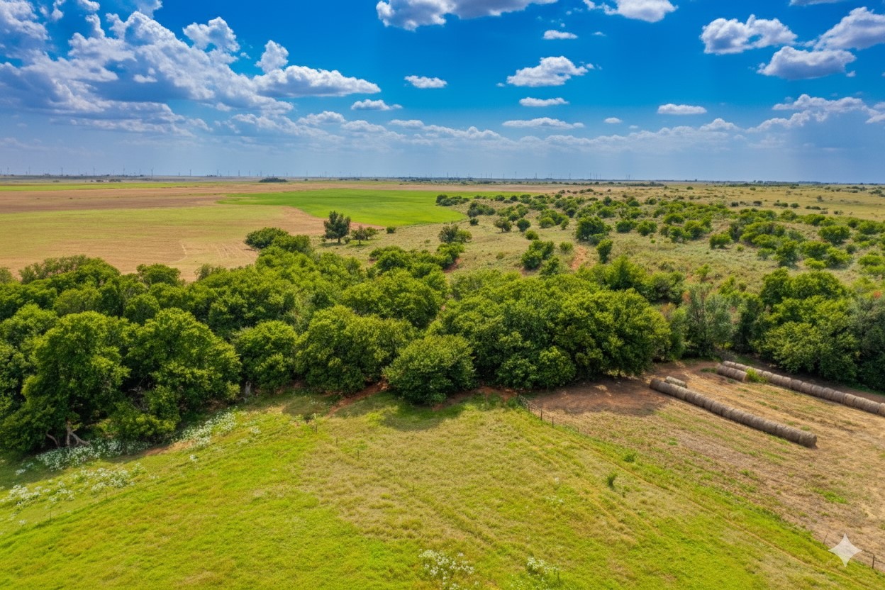 10157 N Cr 129 Harrold TX 76364