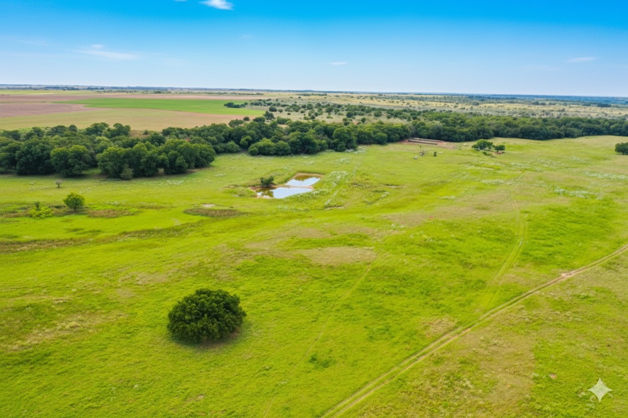 10157 N Cr 129 Harrold TX 76364