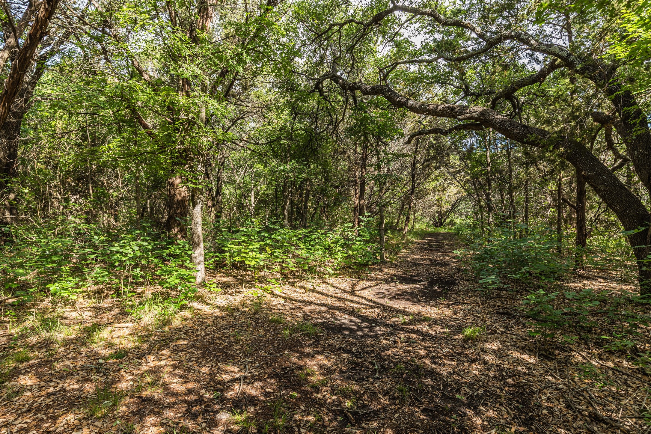 420 Private Road 1400 E Morgan TX 76671