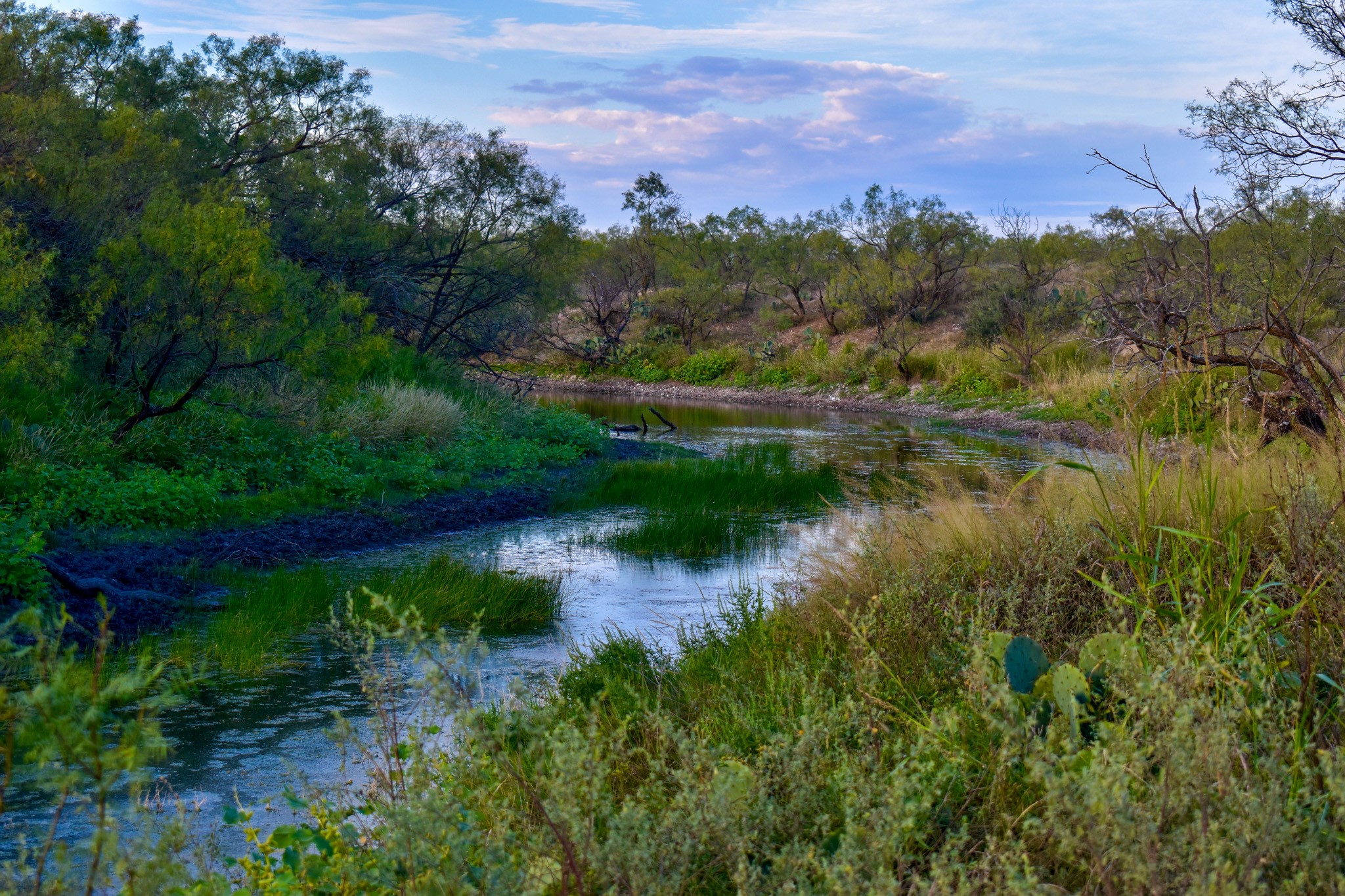 11595 W Fm 2028 Melvin TX 76858