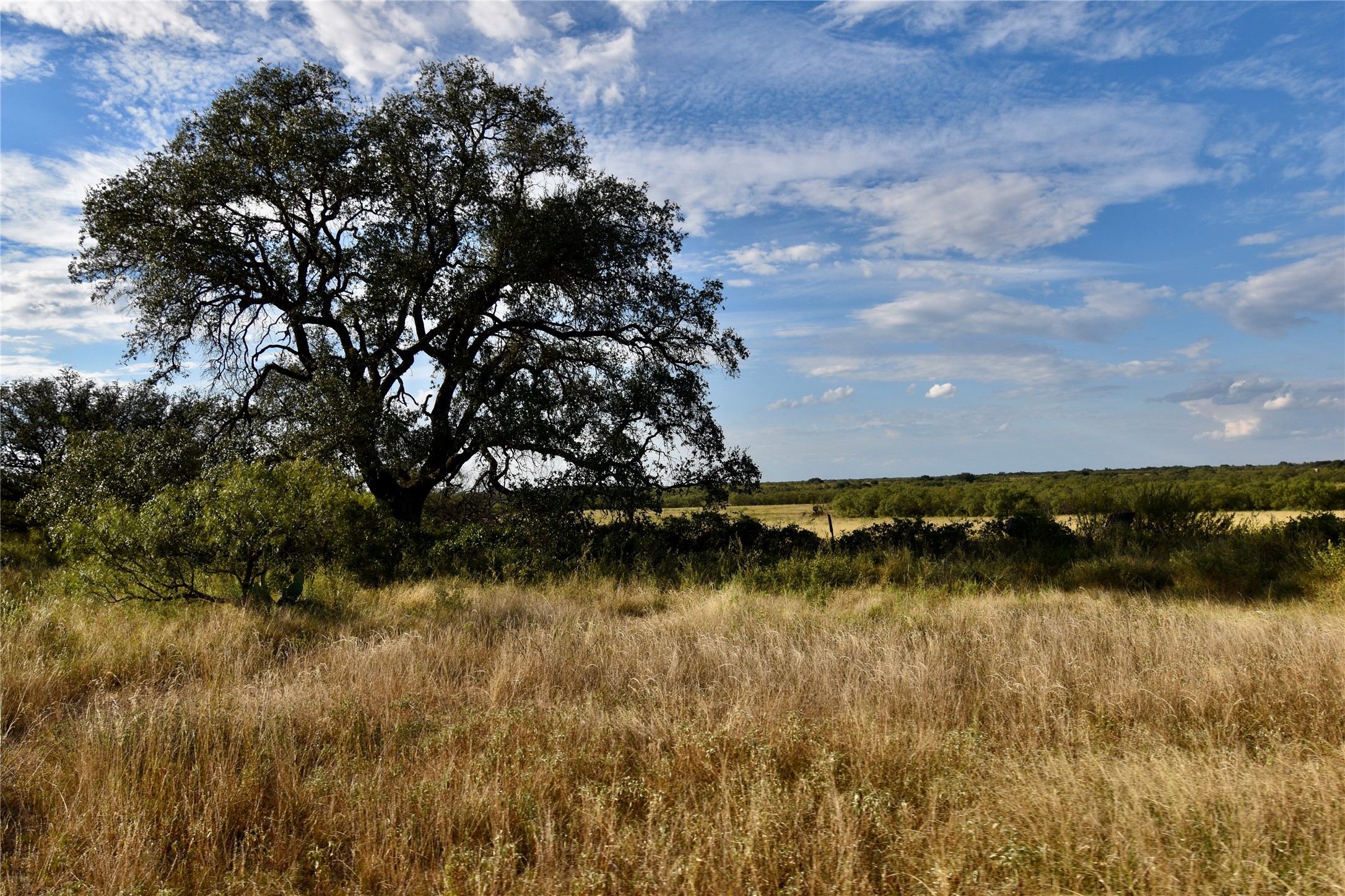11595 W Fm 2028 Melvin TX 76858