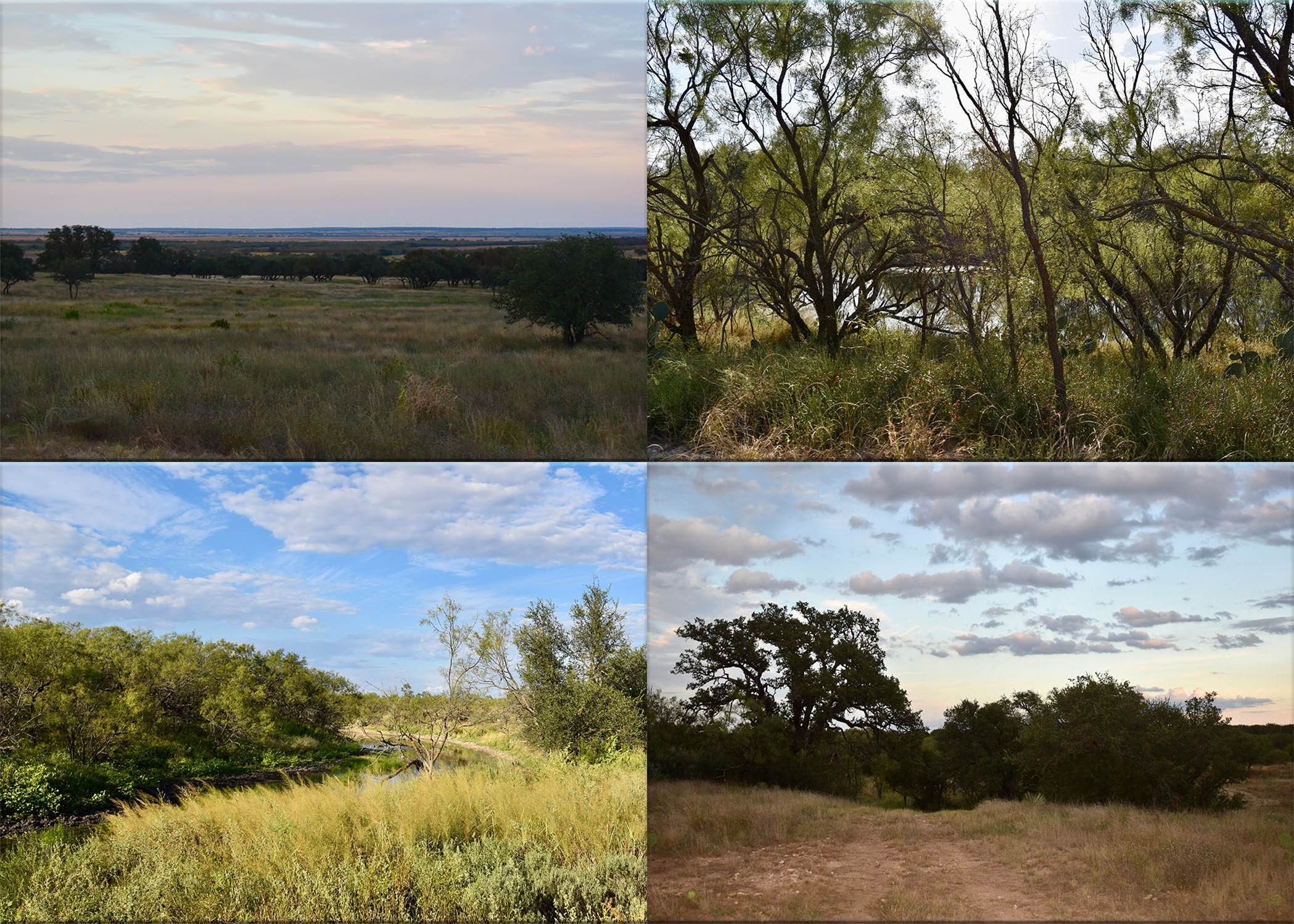 11595 W Fm 2028 Melvin TX 76858