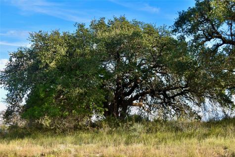 11595 W Fm 2028 Melvin TX 76858