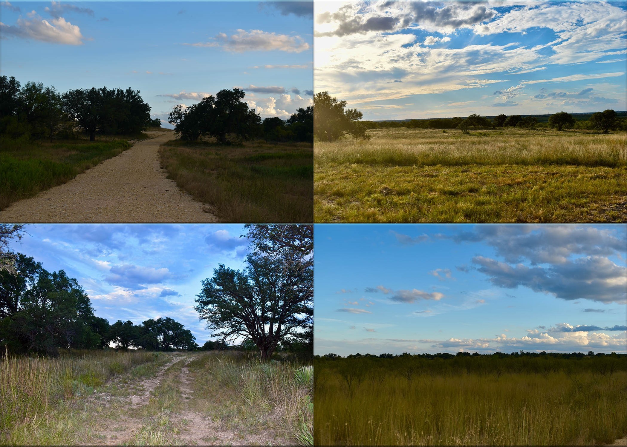 11595 W Fm 2028 Melvin TX 76858