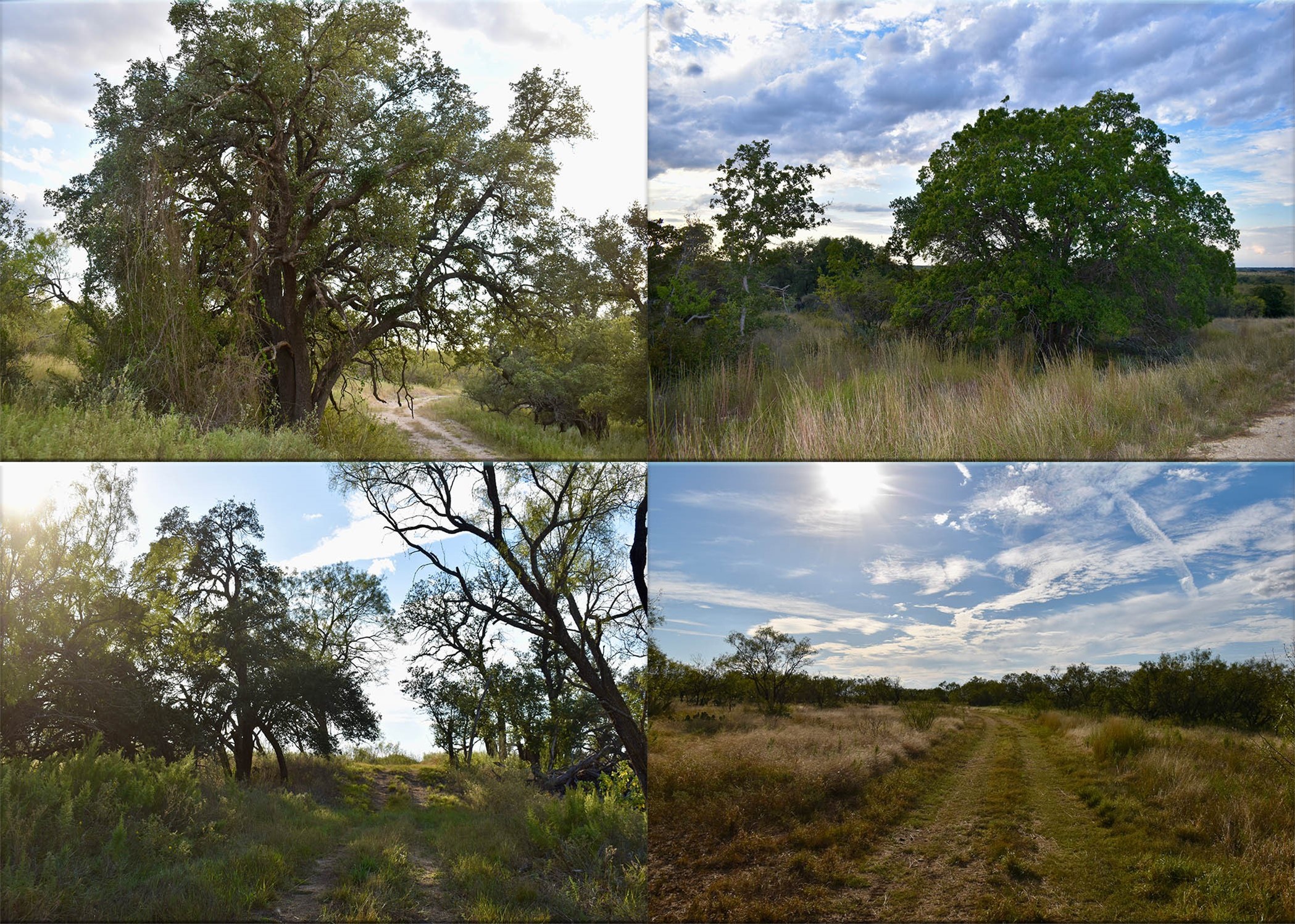 11595 W Fm 2028 Melvin TX 76858