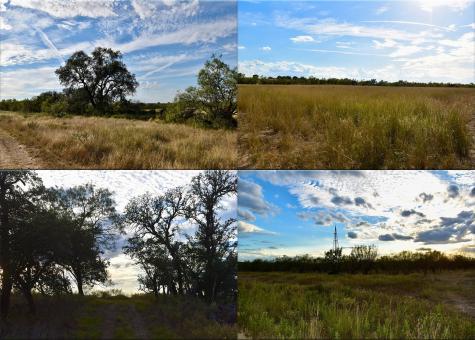 11595 W Fm 2028 Melvin TX 76858