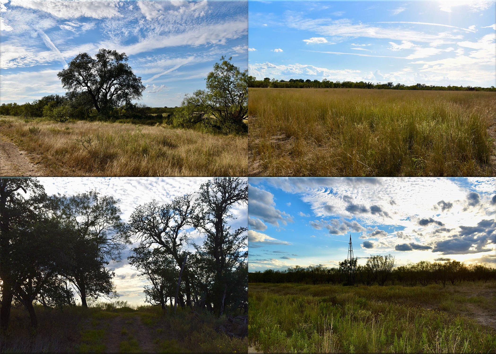 11595 W Fm 2028 Melvin TX 76858