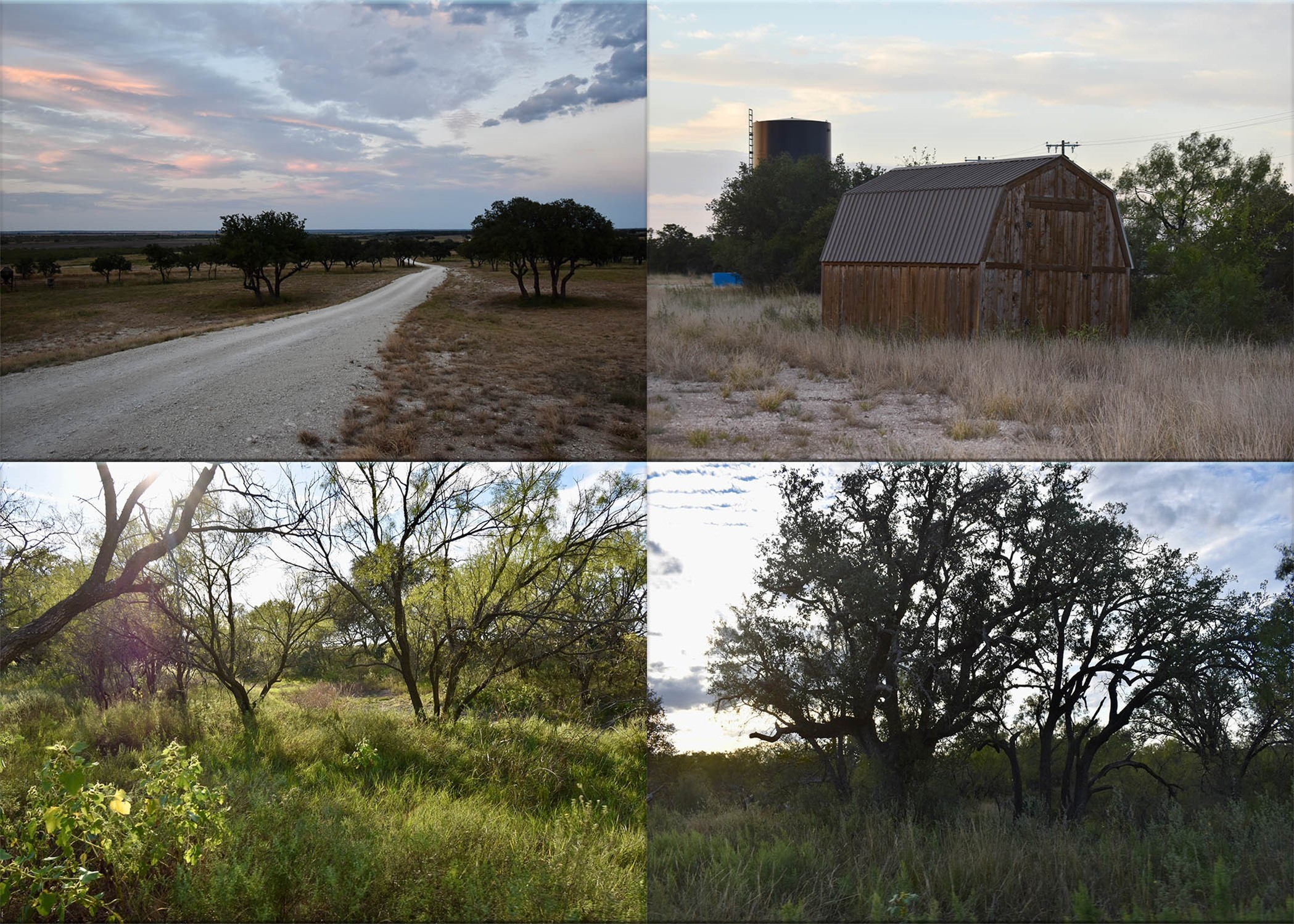 11595 W Fm 2028 Melvin TX 76858