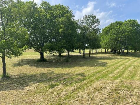 381 Heritage Creek Drive Rhome TX 76078