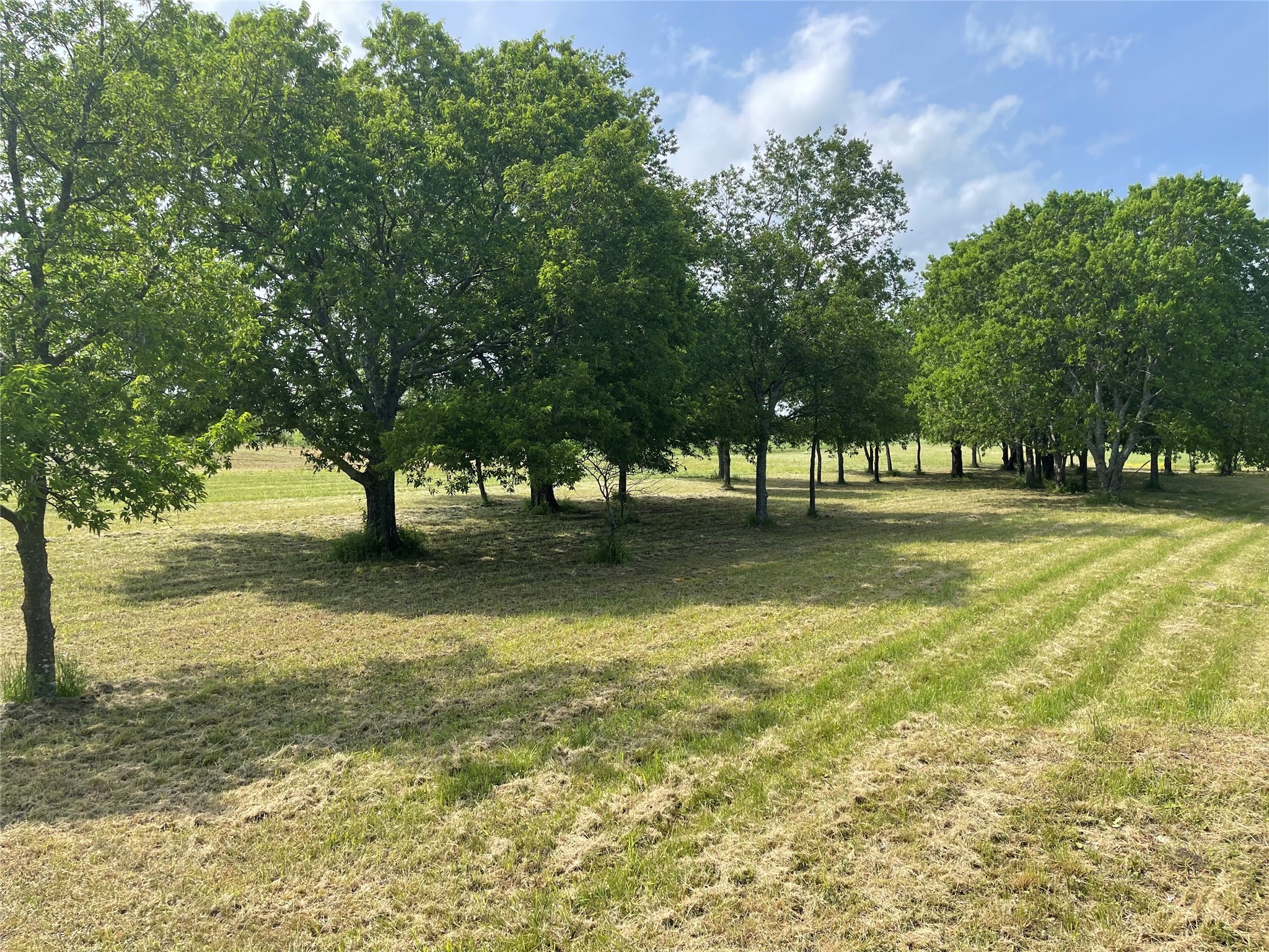 381 Heritage Creek Drive Rhome TX 76078
