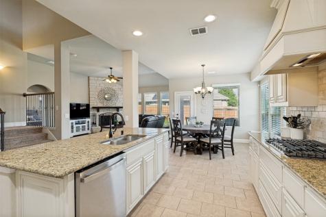 1421 Wood Duck Drive Little Elm TX 75068