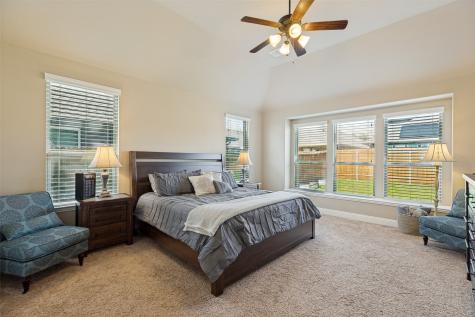 1421 Wood Duck Drive Little Elm TX 75068