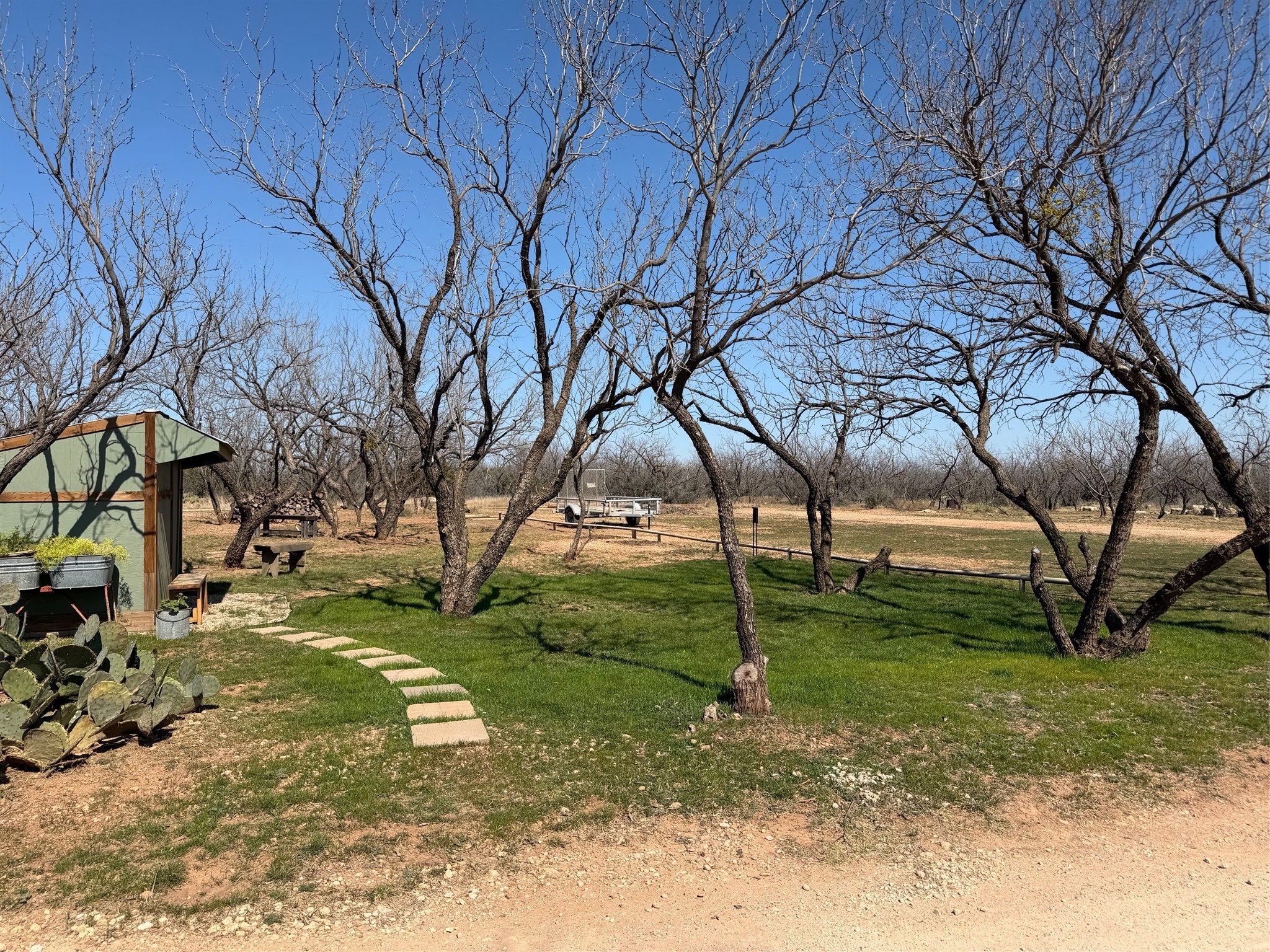325 Mohawk Abilene TX 79601