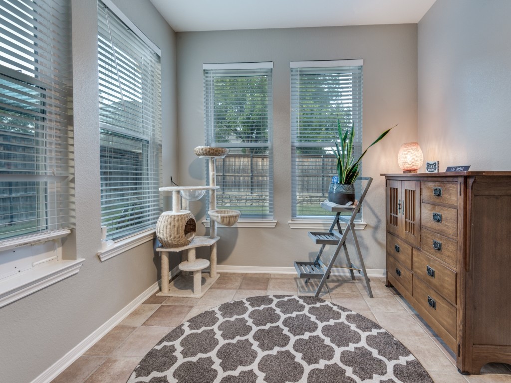 413 Seleta Drive Murphy TX 75094