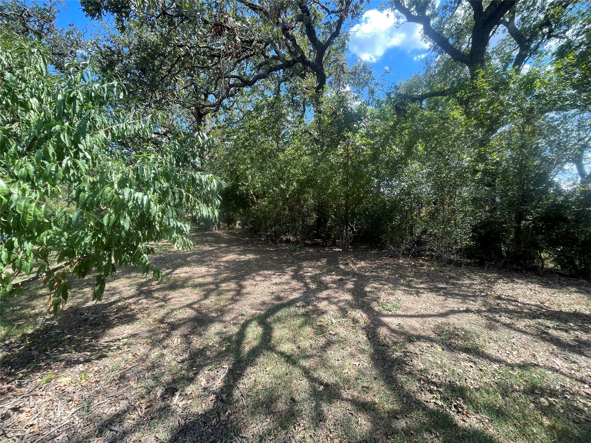 13822 Fm 4 Santo TX 76472