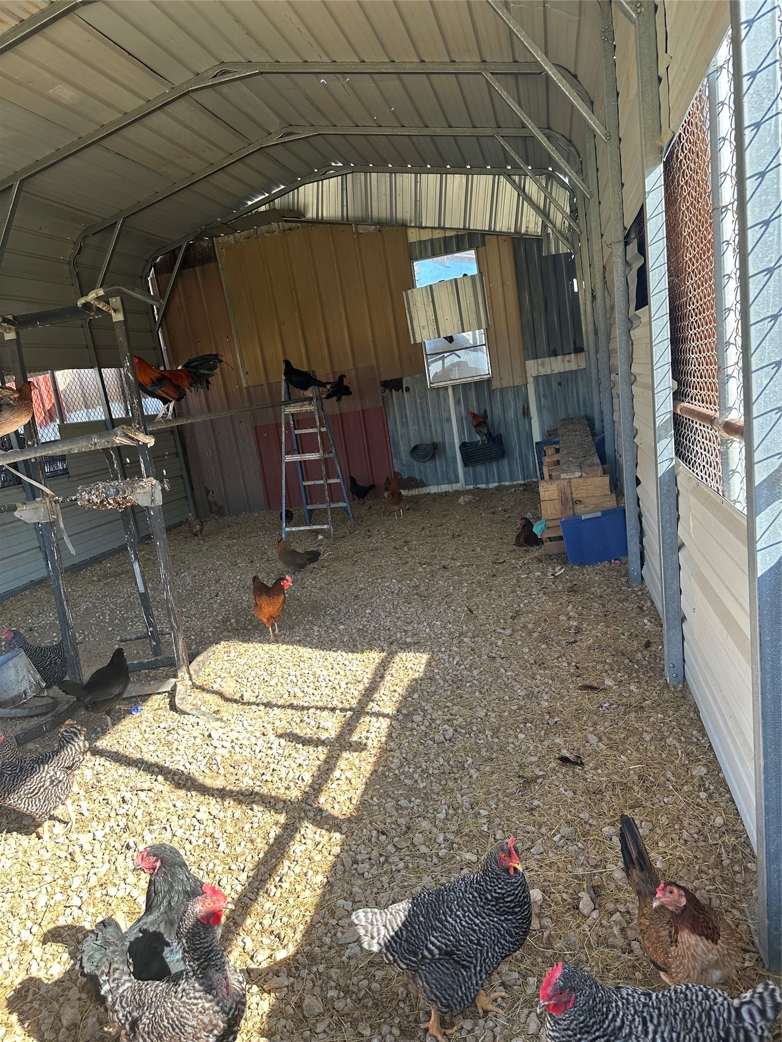 2441 Lcr 486 Mexia TX 76667