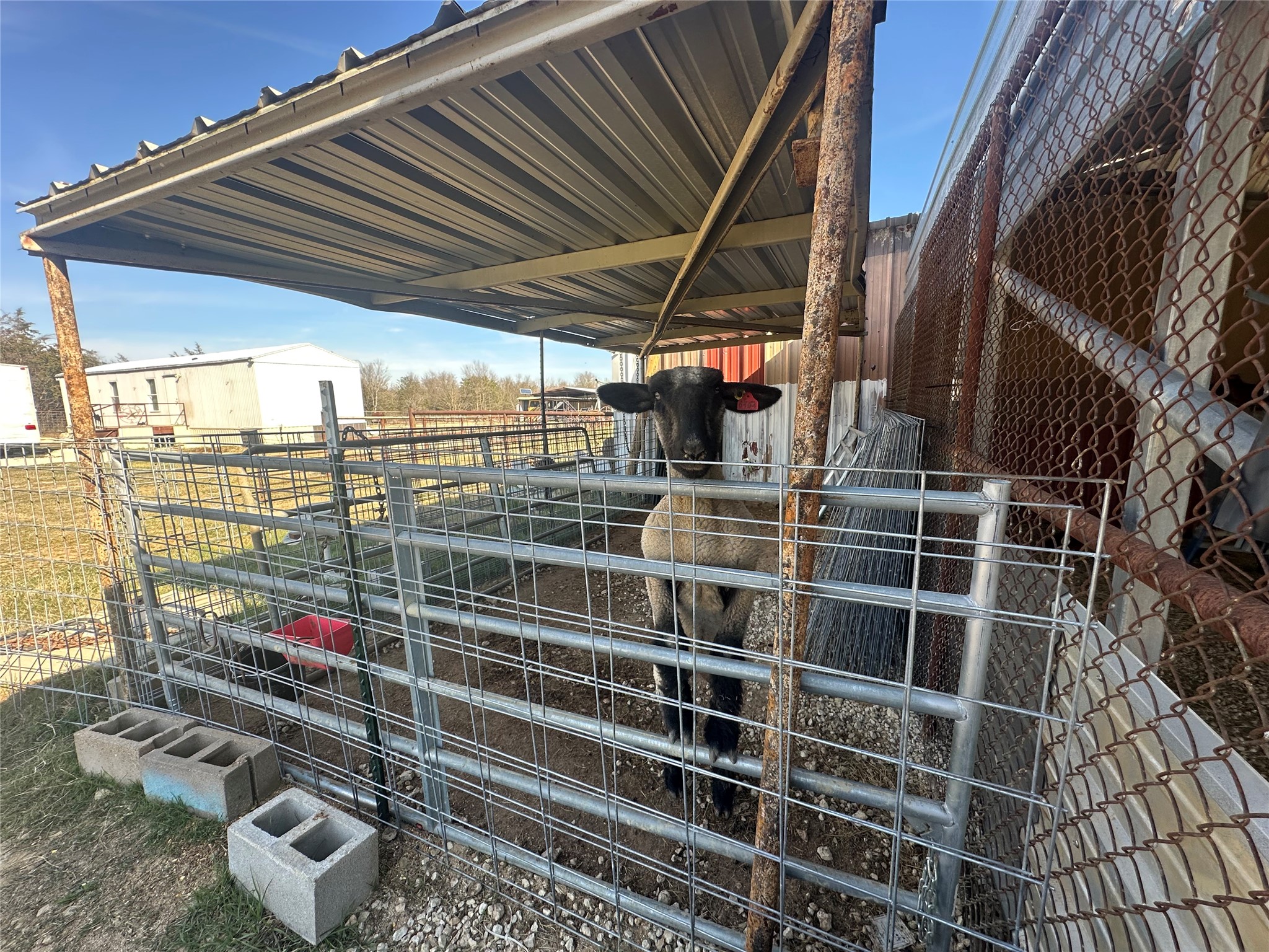 2441 Lcr 486 Mexia TX 76667