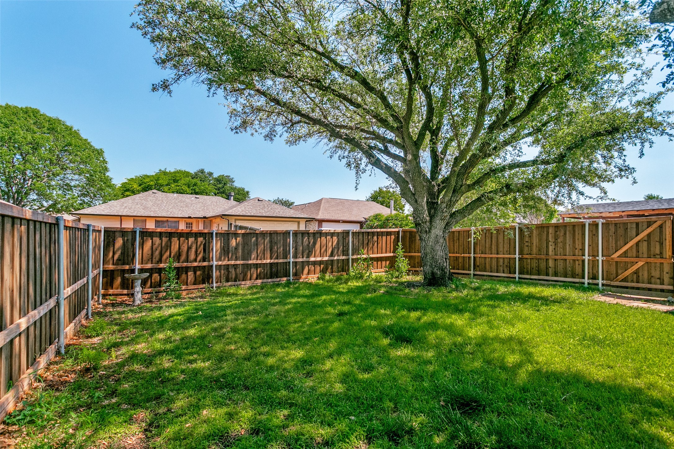 1311 Marigold Drive Allen TX 75002